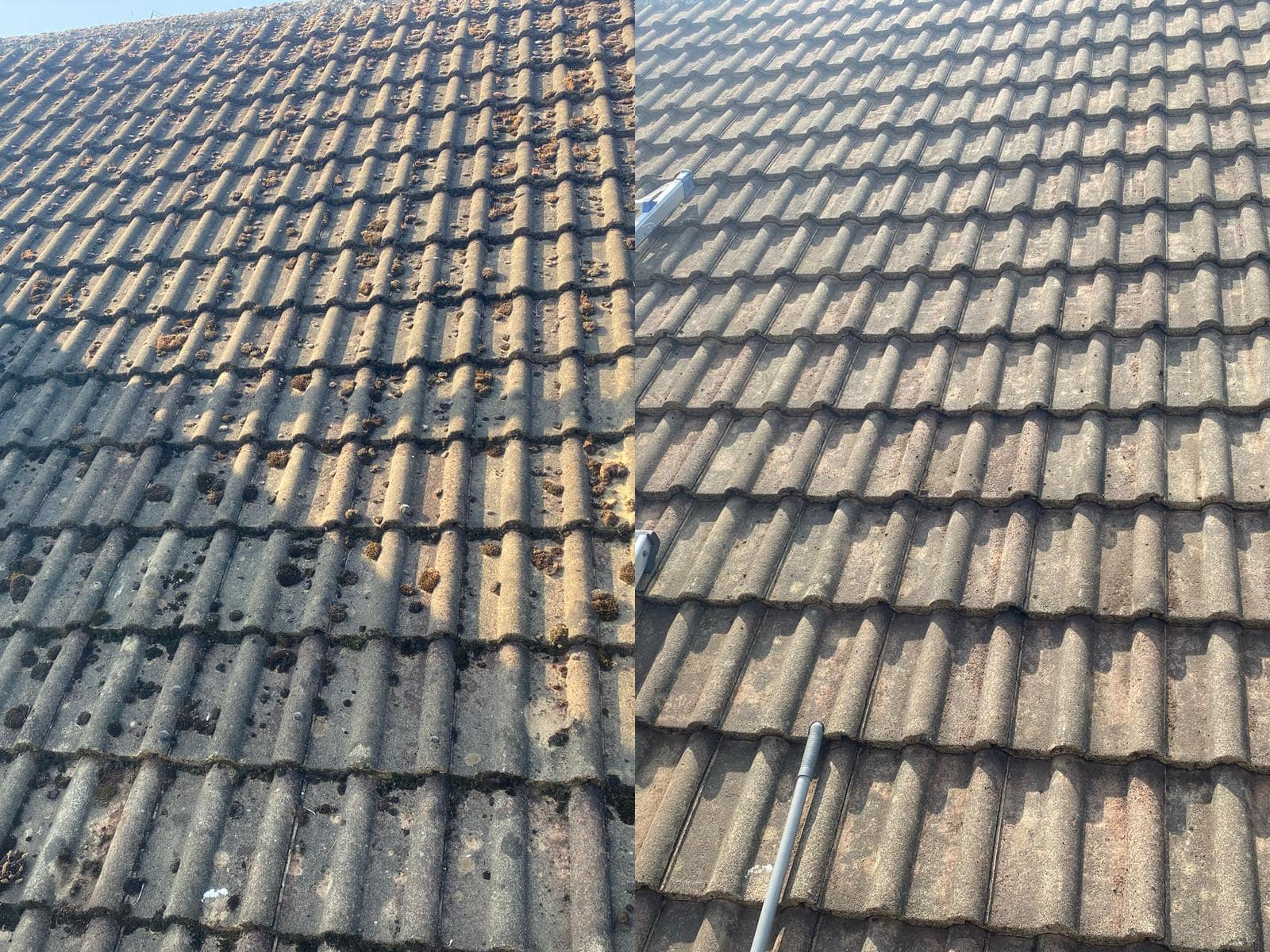 Roof Cleaning Services